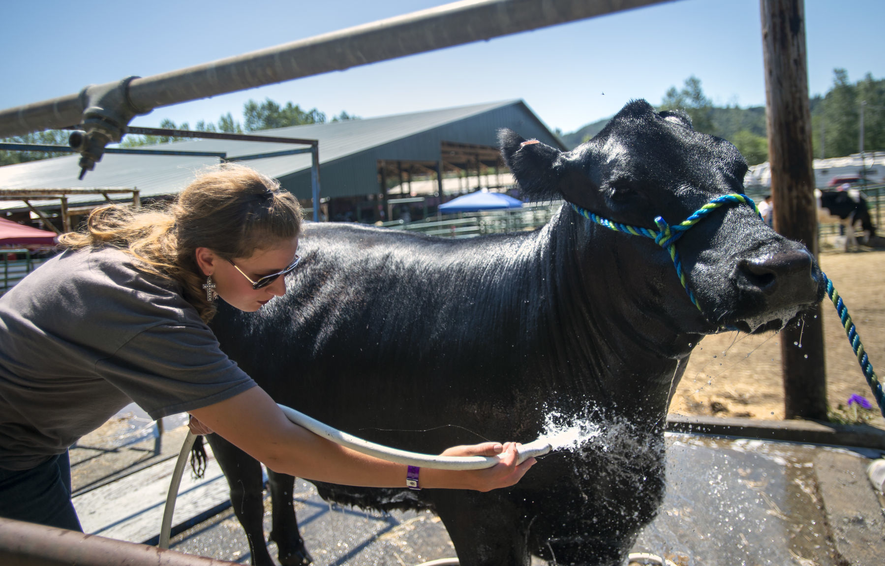 Coos County Fair